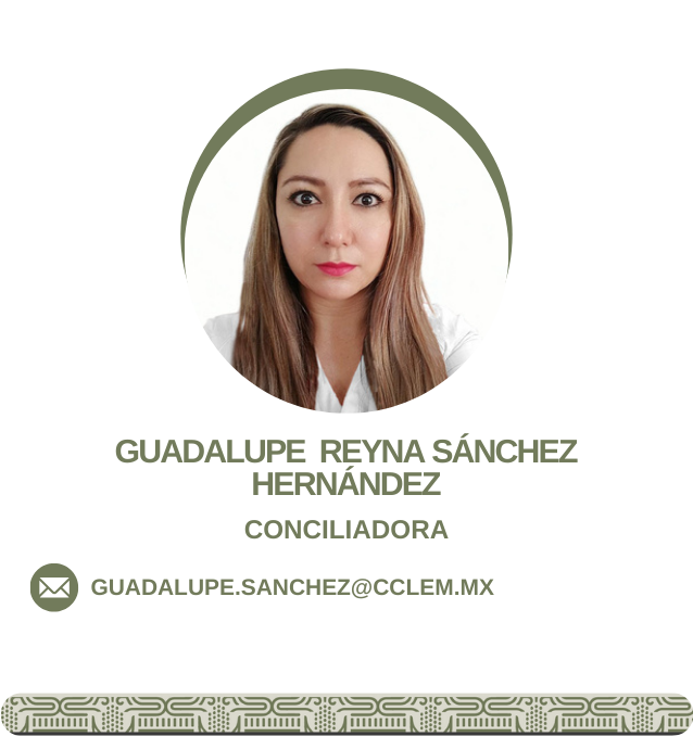 Conciliador 1